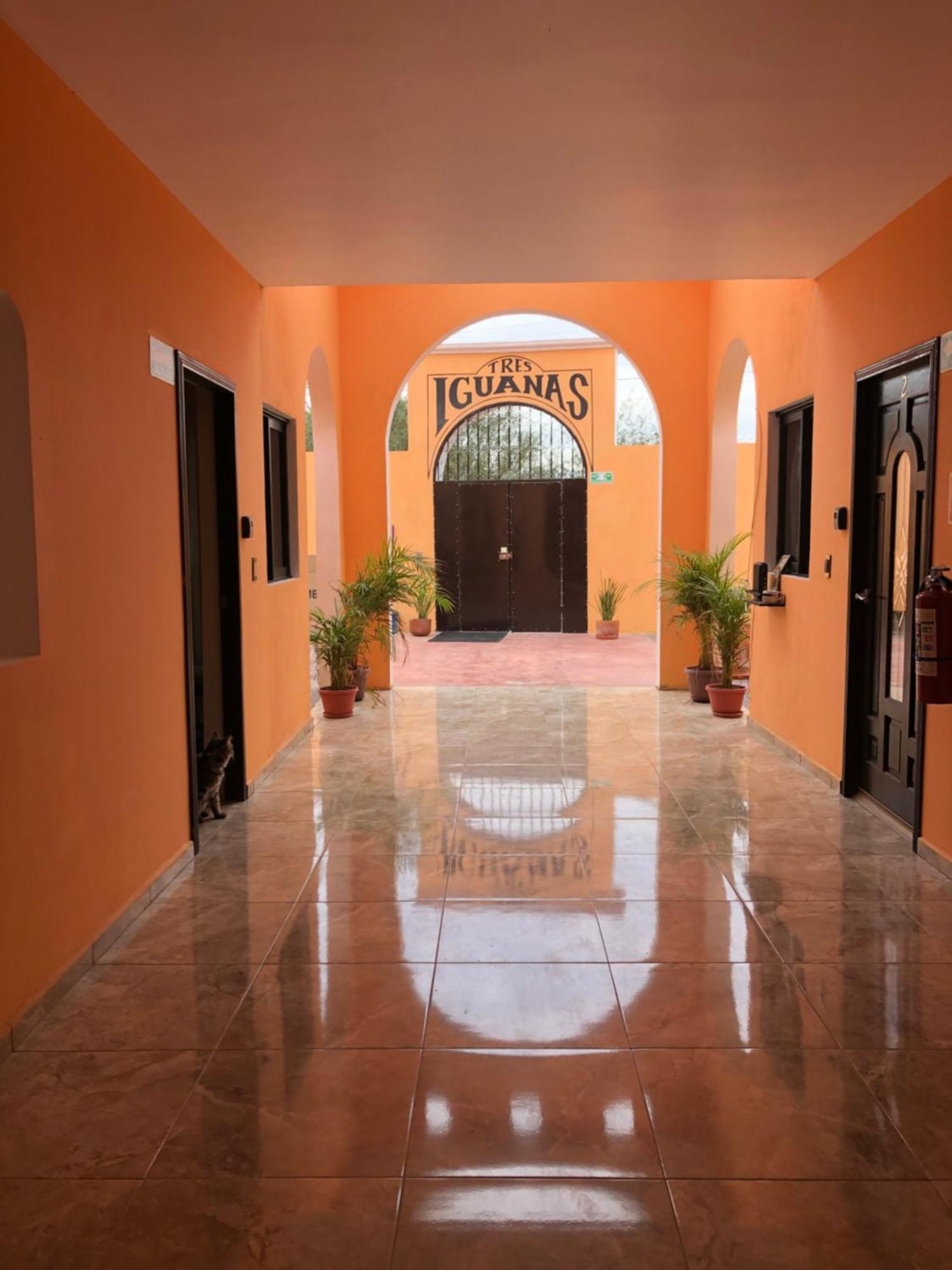 Tres Iguanas Apart Hotel - New, Cozy & Spacious Flats, Short Walk To Beach Loreto  Bagian luar foto