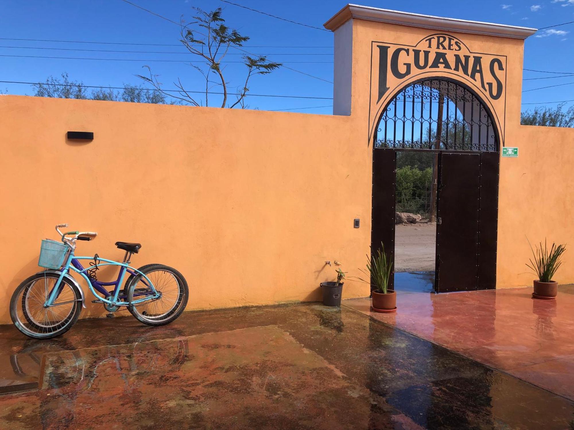 Tres Iguanas Apart Hotel - New, Cozy & Spacious Flats, Short Walk To Beach Loreto  Bagian luar foto