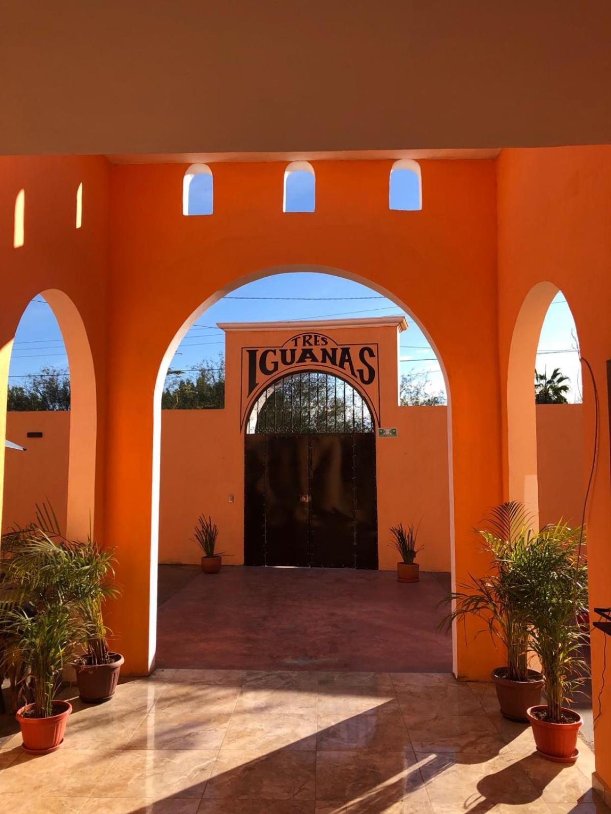 Tres Iguanas Apart Hotel - New, Cozy & Spacious Flats, Short Walk To Beach Loreto  Bagian luar foto