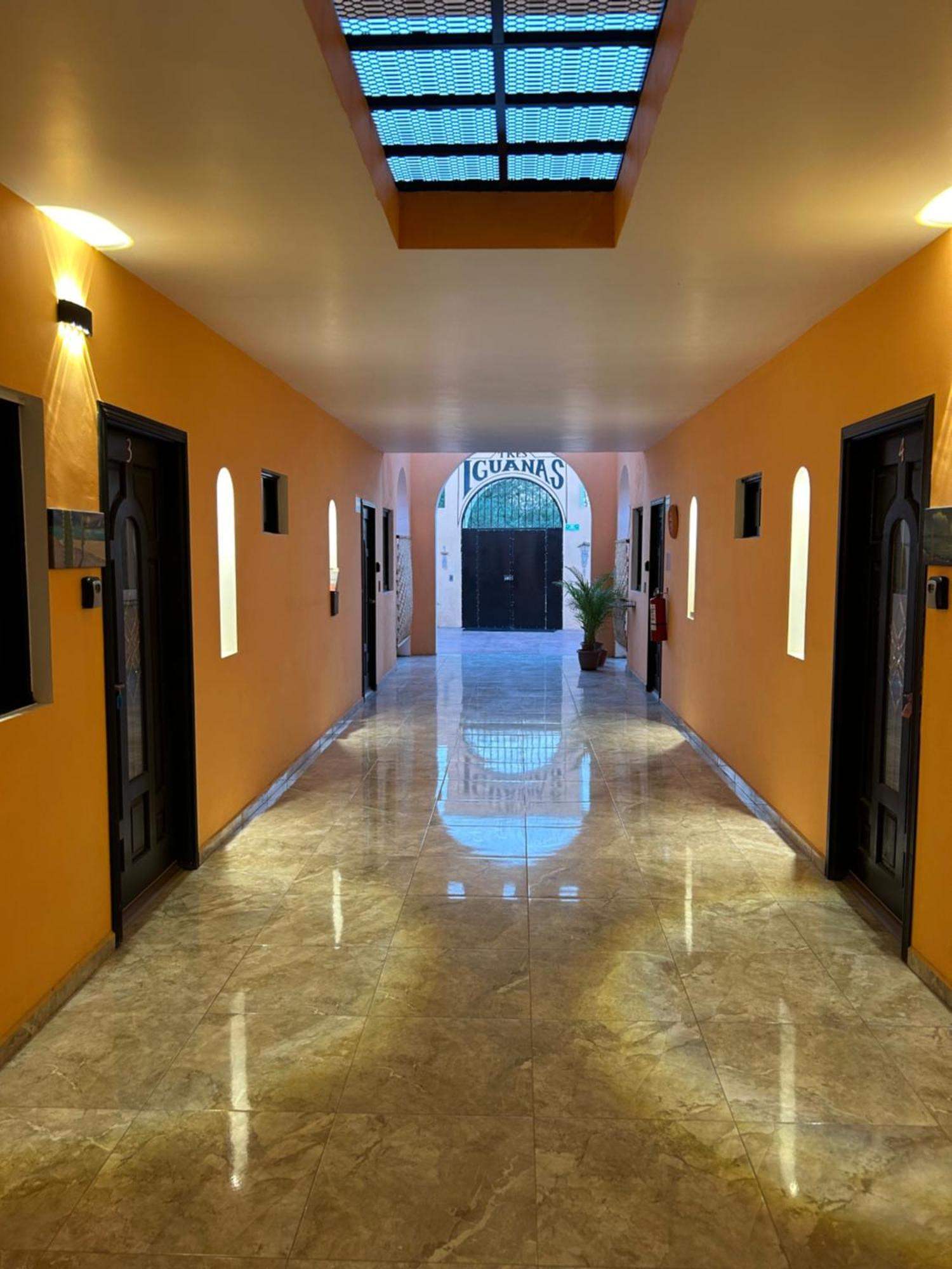 Tres Iguanas Apart Hotel - New, Cozy & Spacious Flats, Short Walk To Beach Loreto  Bagian luar foto